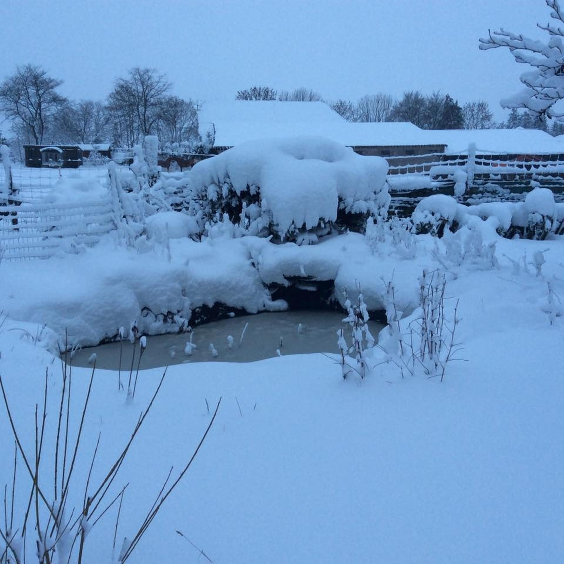 Un manteau de 40 cm de neige a l Ouest du pays Virgule